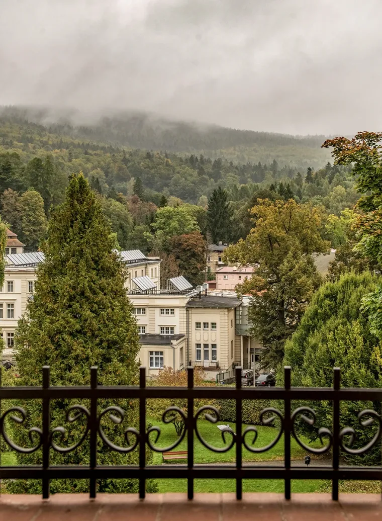 Villa Margaret - apartament - royal - widok